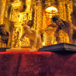 P1016578-1