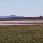 LAGUNA-DE-RATOSA-ALAMEDA