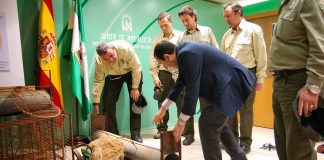 Agentes de Medio Ambiente intervienen 300 artes ilegales de caza en una operación en Sierra de Yeguas