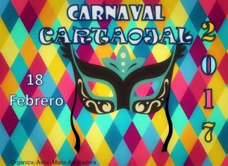 carnaval cartaojal