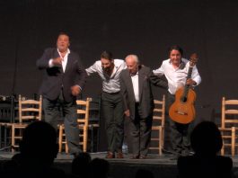 FOTOS | XIX Noche Flamenca de la pedanía antequerana de Cartaojal