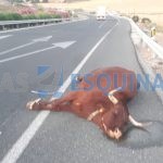accidente A45c