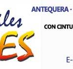 automoviles-Torres