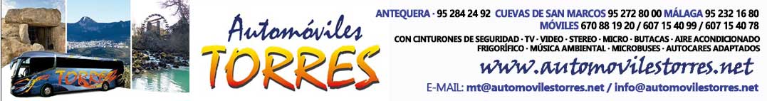 top_automoviles_torres