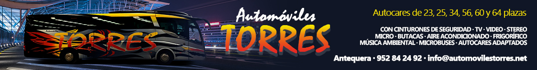 top_automoviles_torres