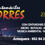 Página_Top_Autotorres_movil