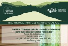 Talleres y rutas senderistas para el mes de Septiembre en el Torcal