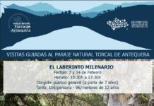 AGENDA | Actividades al aire libre y exposiciones durante la primera semana de febrero en Antequera