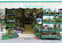 Floristería La Gardenia estrena su página web tras 50 años de historia Antequera