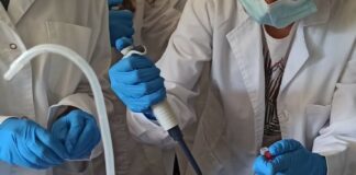 El IES Los Colegiales abre el plazo de solicitudes para cursar grados de Formación Profesional del 15 al 30 de junio