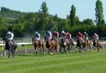 Las apuestas al turf siguen ganando preponderancia en España