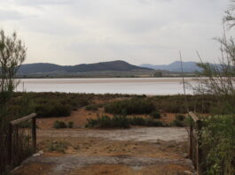 La comarca de Antequera se une frente a la sequía