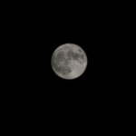 IMG-20230830-WA0117
