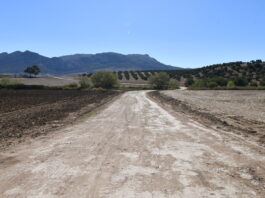 Cañete la Real ejecuta mejoras en sus caminos rurales