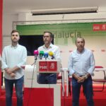 POLÍTICA El PSOE propone la remodelación y mejora del entorno del álamo carolino