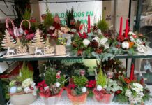 Vive la magia de la Navidad con ‘Floristería La Gardenia’