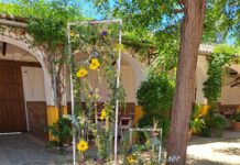 Los eventos más especiales con Floristería La Gardenia