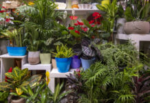 Transforma tu hogar este verano con la belleza floral de La Gardenia