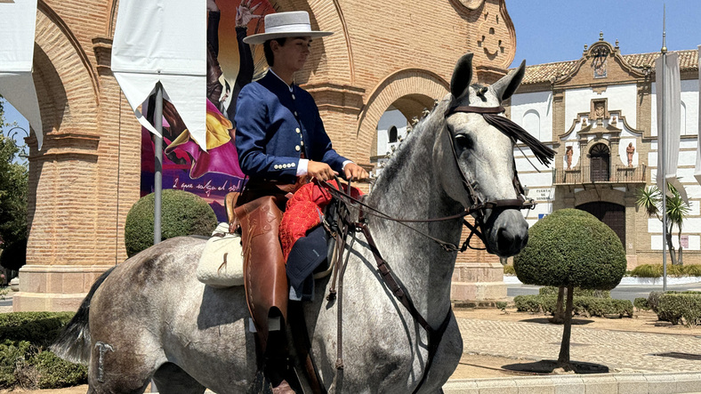 caballos feriaagosto 1