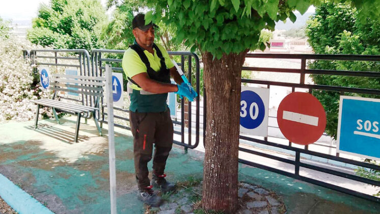 tmolina tratamiento arboles 1206 2