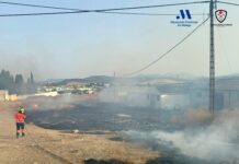Los bomberos actúan durante el fin de semana en dos incendios en Campillos