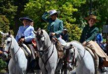 Equialia llevará la pasión por el caballo y las tradiciones a las Fiestas Patronales de Fuente de Piedra