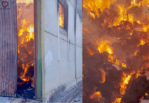 Los bomberos sofocan el incendio de una nave ganadera en Cañete la Real