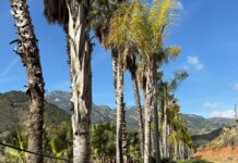 El parque de la naturaleza de Carratraca, un paso más cerca de ser una realidad