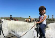 Vuelve a la rutina con Equialia: clases de equitación al alcance de todos