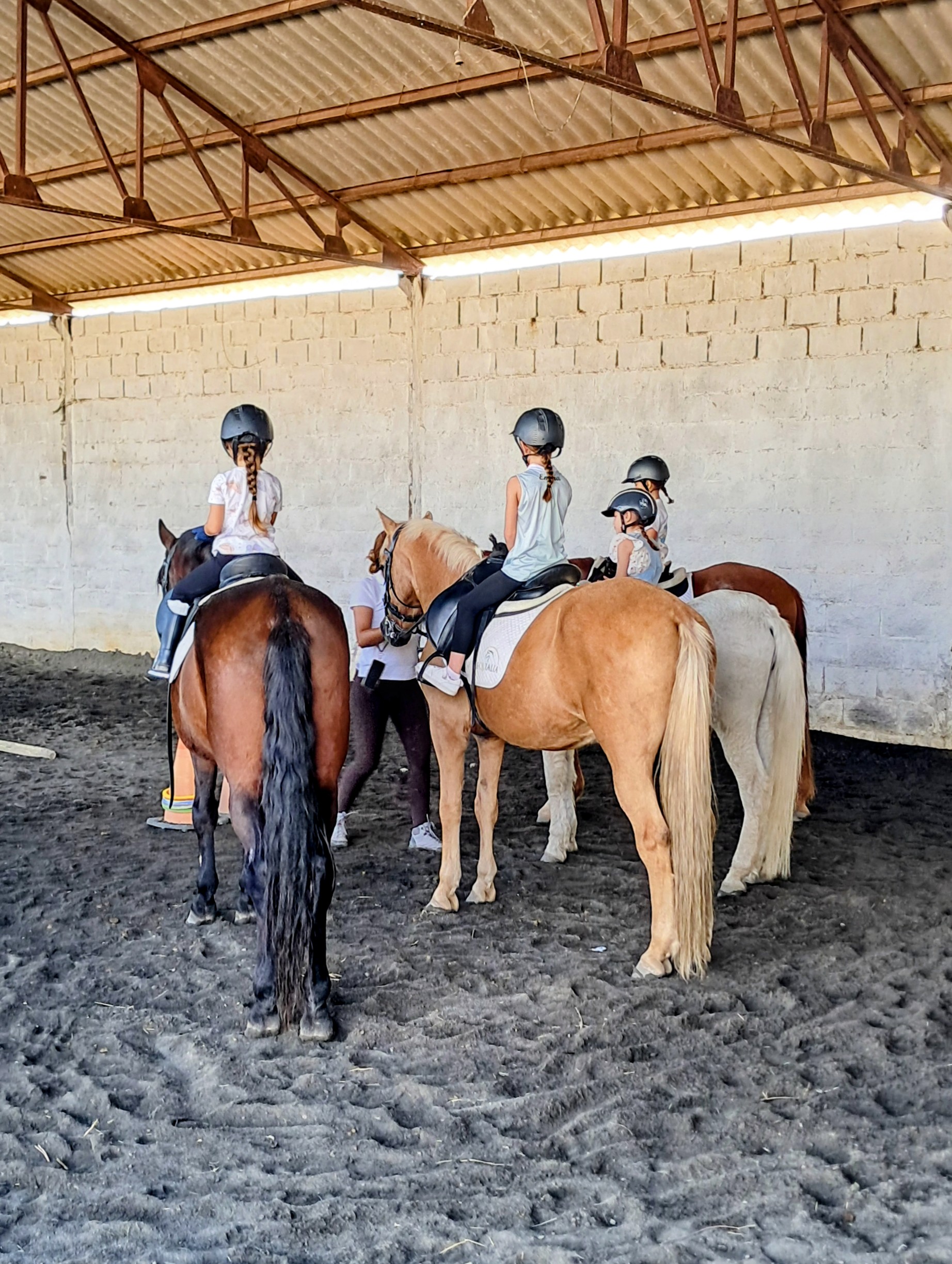 Vive la auténtica experiencia ecuestre en Equialia 27 20251013 1734572