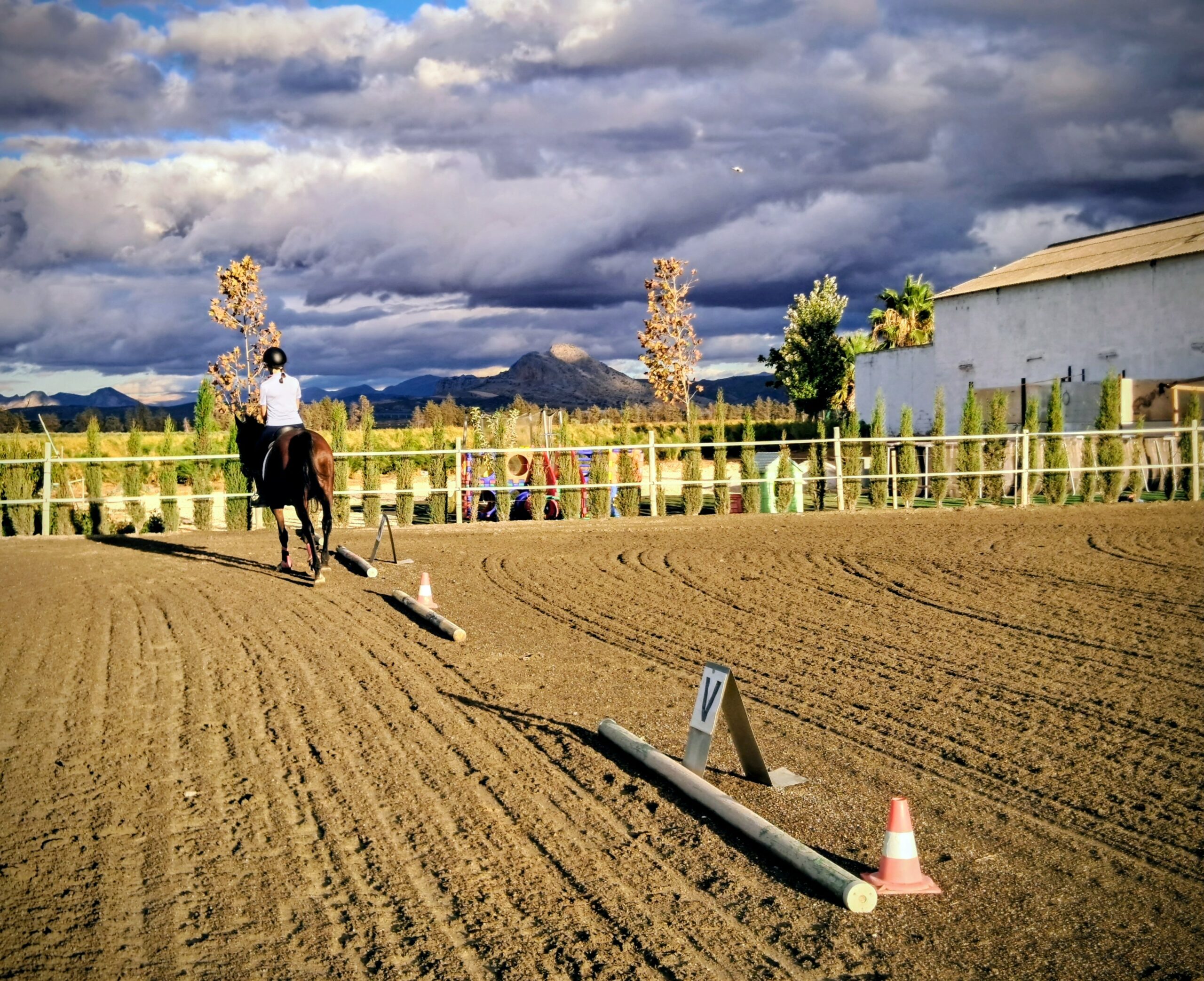 Vive la auténtica experiencia ecuestre en Equialia 24 20251021 1836052 scaled