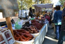 Campillos volverá a convertirse en el epicentro del jamón el próximo nueve de noviembre