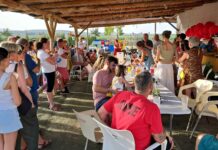 Celebra tu cumpleaños en Equialia: un día inolvidable entre caballos y naturaleza