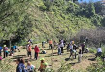 Villanueva de Algaidas acogerá las Arboladas participativas de la Diputación este otoño