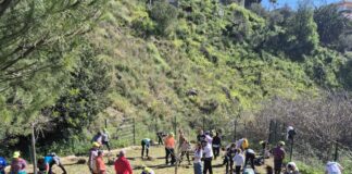 Villanueva de Algaidas acogerá las Arboladas participativas de la Diputación este otoño