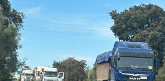 La Diputación destina 655.000 euros al asfaltado de la carretera de acceso principal a Alameda