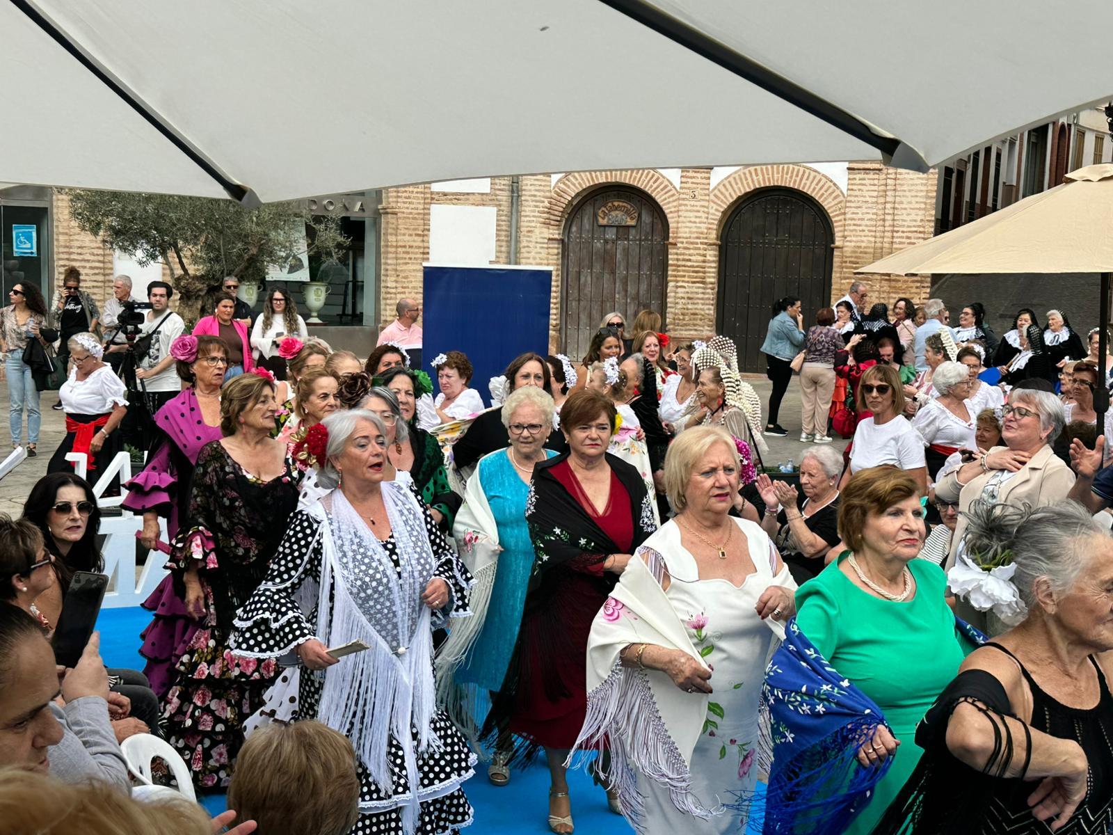 desfile mayores de la costura 4