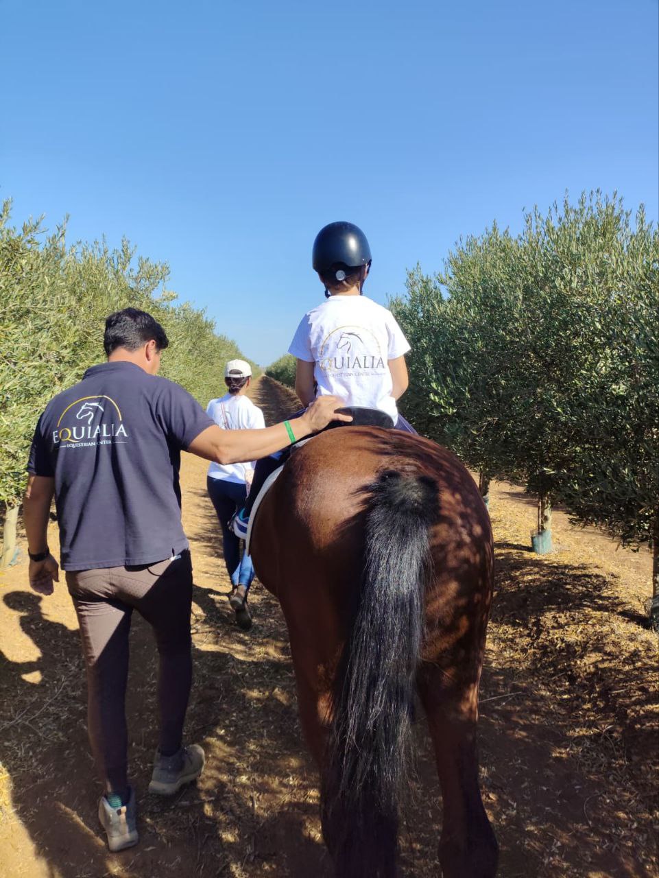Vive la auténtica experiencia ecuestre en Equialia 22 photo 12 2025 10 28 16 54 31