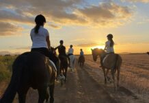 Vive la auténtica experiencia ecuestre en Equialia