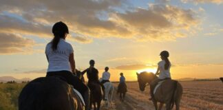 Vive la auténtica experiencia ecuestre en Equialia