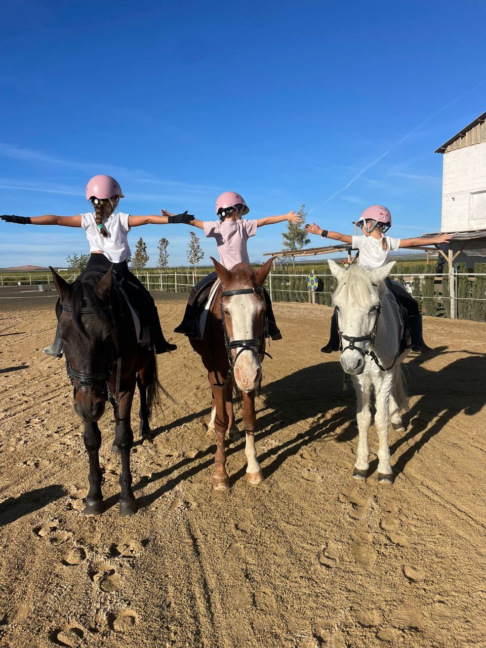 Vive la auténtica experiencia ecuestre en Equialia 23 photo 7 2025 10 28 16 54 31