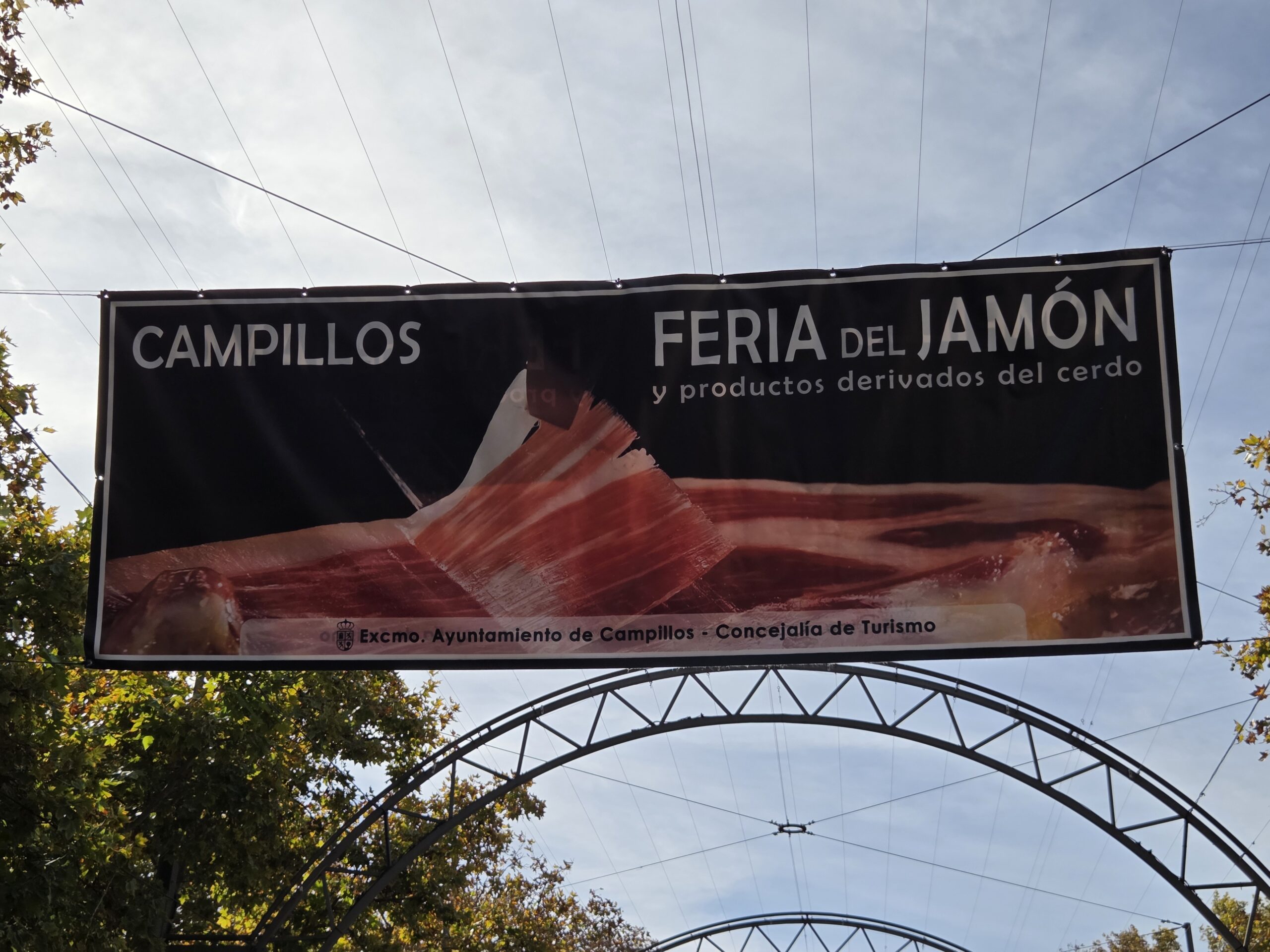 20251109 120041 scaled