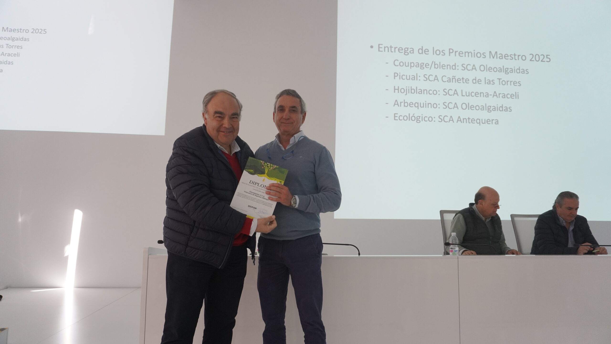 691db851da6dc oleoalgaidas 2 scaled