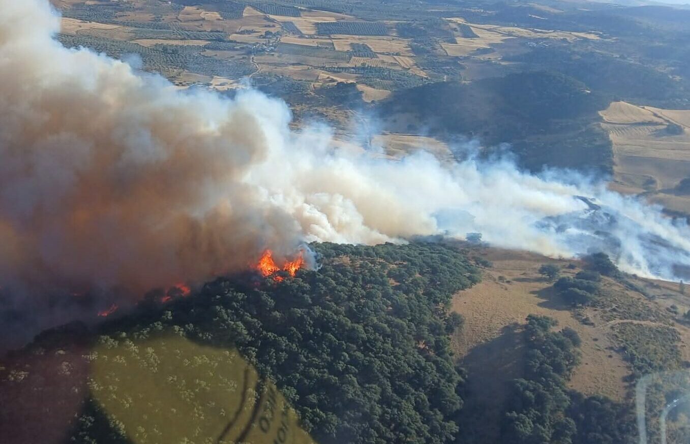 Investigan a una persona por el incendio forestal del pasado mes de julio en el entorno de El Torcal 5 FB IMG 1752258874579 1920x1440 1 e1762948110373