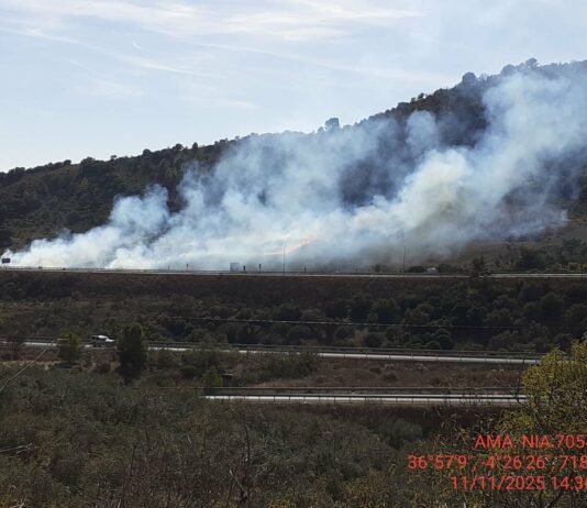 Cortado un tramo de la A-45 de Antequera a Málaga a causa de un incendio forestal en una cuneta