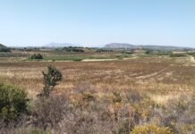 La Junta compra los terrenos de la Laguna de Camuñas en Campillos para su restauración ambiental