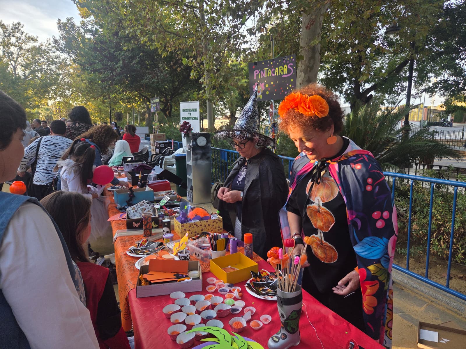 WhatsApp Image 2025 10 31 at 17.46.34