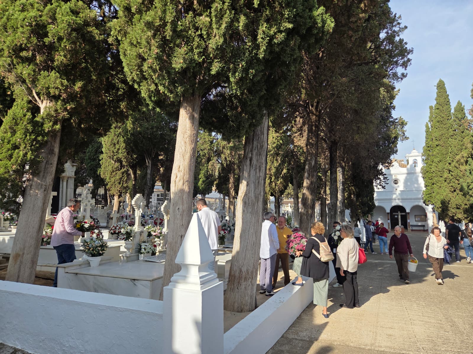 WhatsApp Image 2025 11 01 at 12.20.51