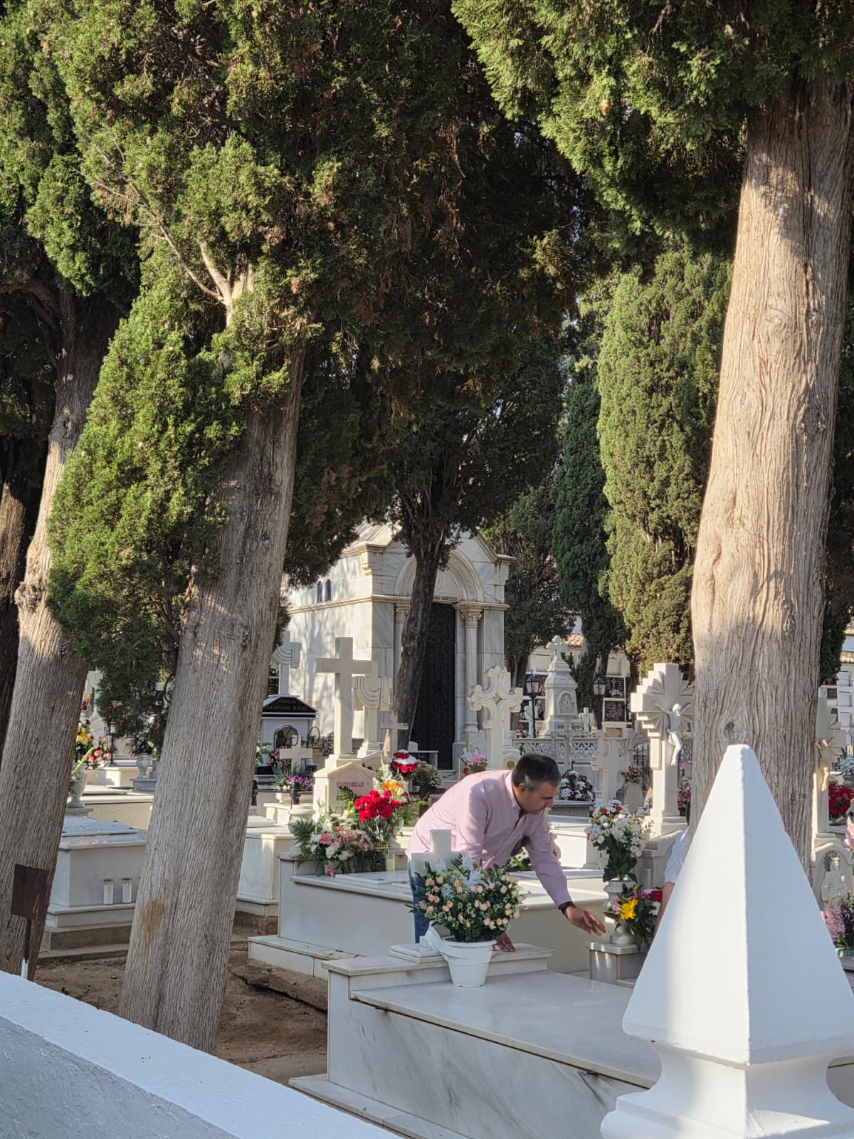 WhatsApp Image 2025 11 01 at 12.20.52