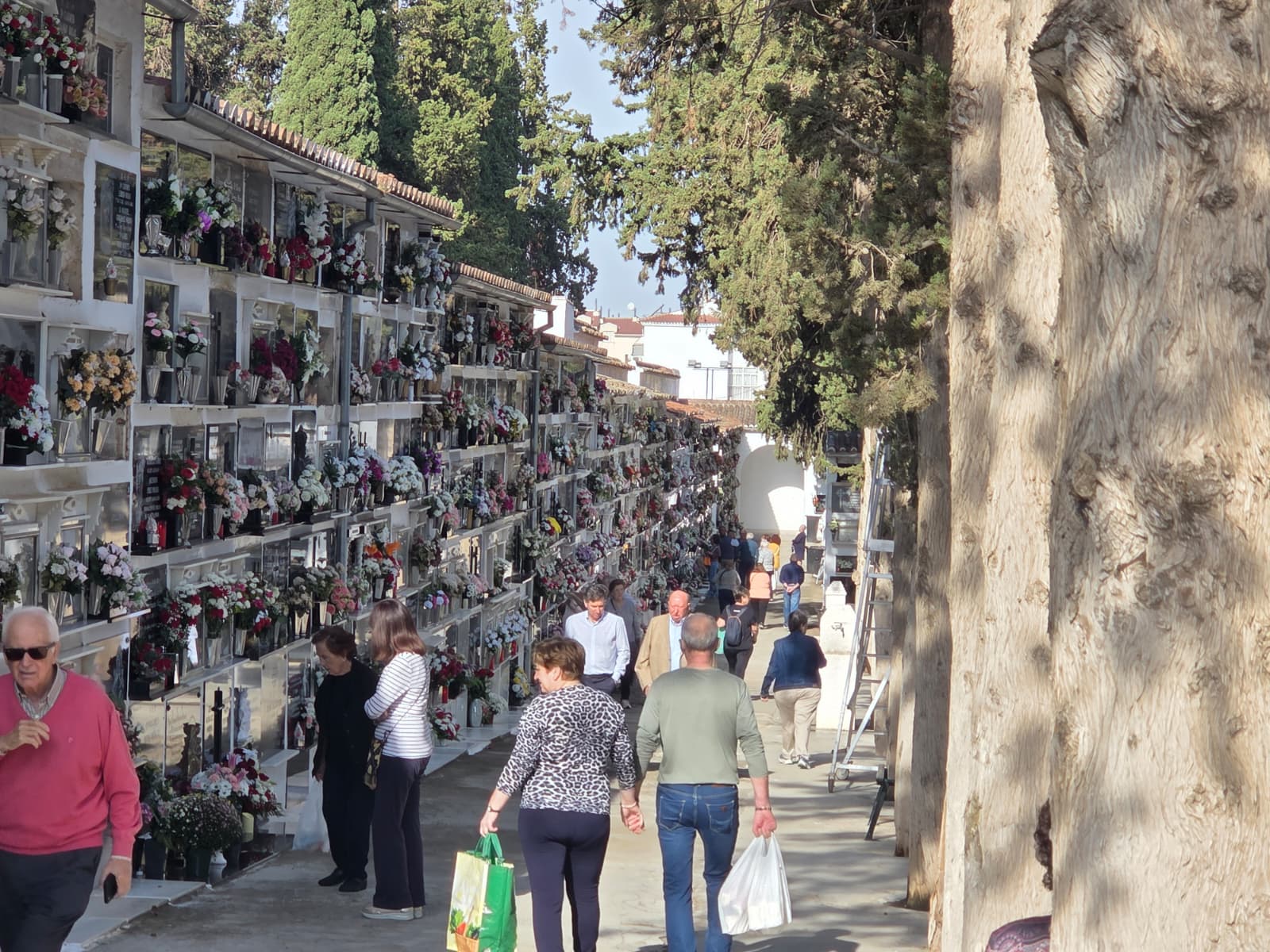 WhatsApp Image 2025 11 01 at 12.20.53